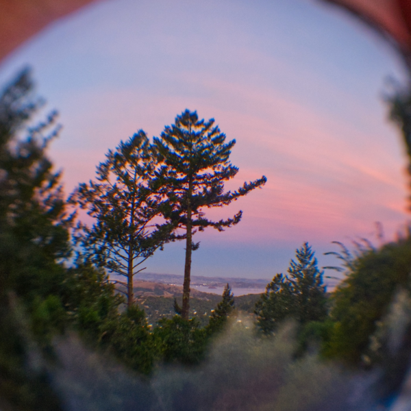 Lensball photograph of Mt. Tamalpais sunset